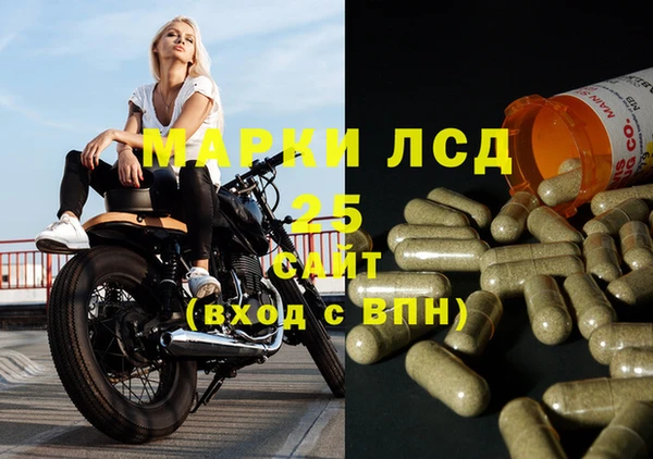 ГАЛЛЮЦИНОГЕННЫЕ ГРИБЫ Горнозаводск