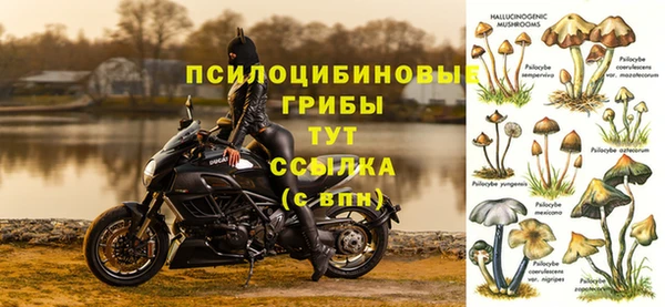 а пвп мука Горняк