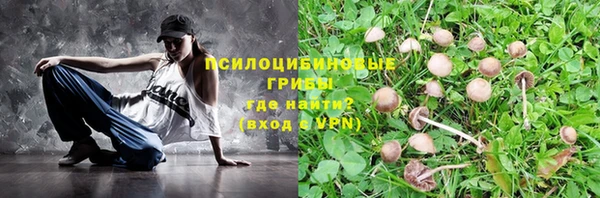 крисы Горно-Алтайск