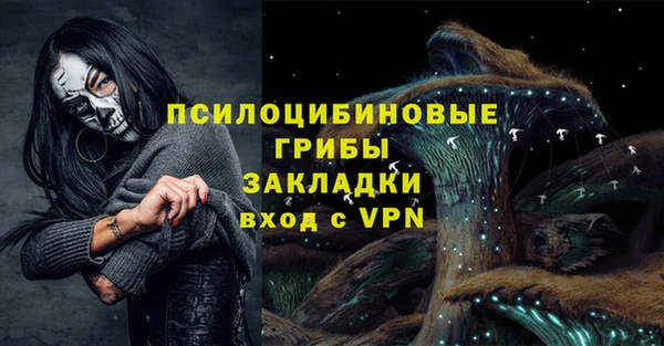 крисы Горно-Алтайск