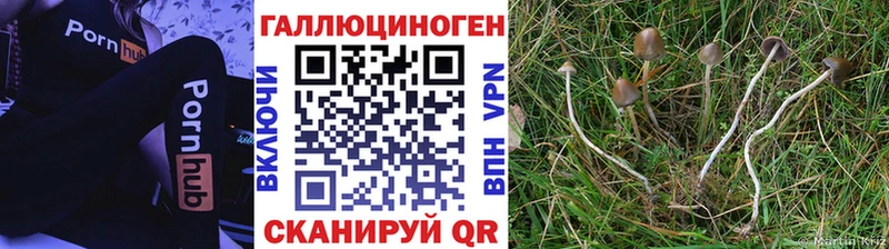 Галлюциногенные грибы прущие грибы  Купить где  Ковдор 